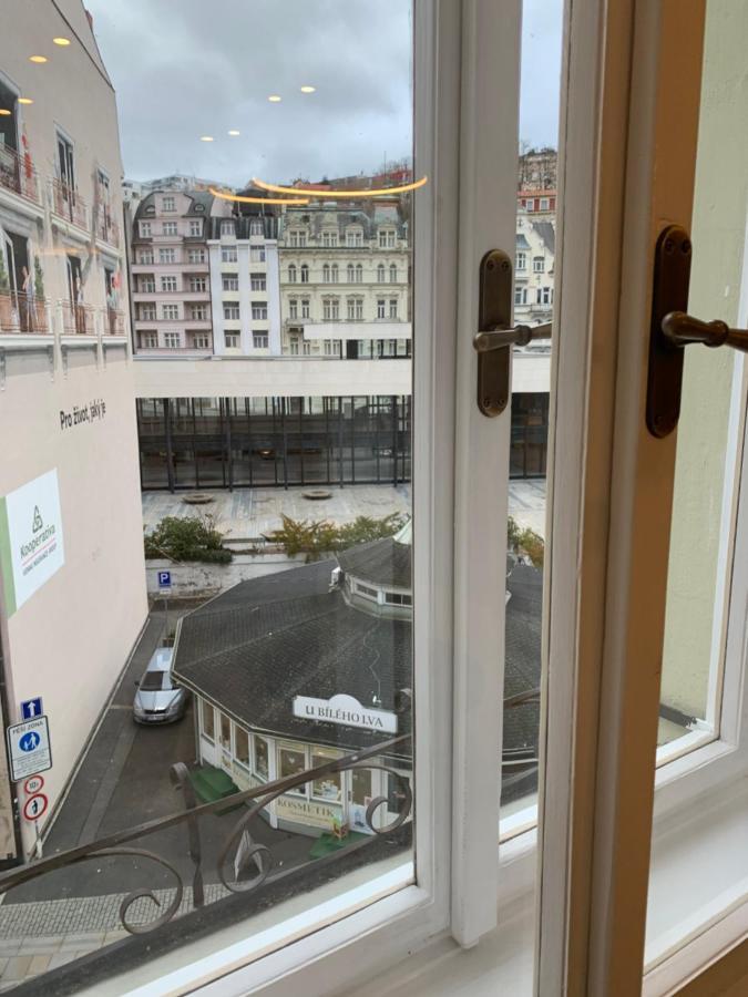 Appartement Bella Vista Collonade à Karlovy Vary Extérieur photo